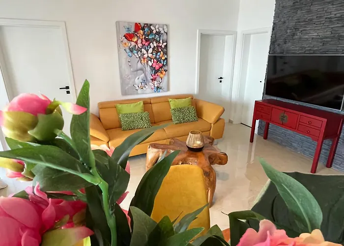 فيلة Roko Tragurion *