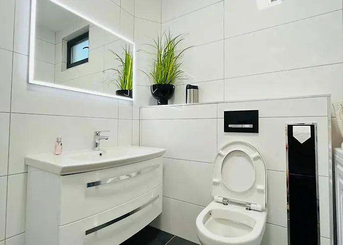 فيلة Roko Tragurion تروغير