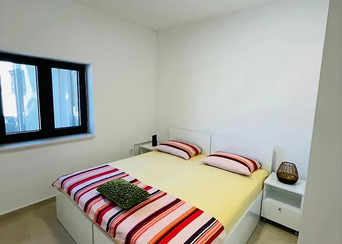 فيلة Roko Tragurion