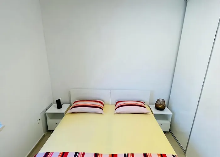 Roko Tragurion * تروغير