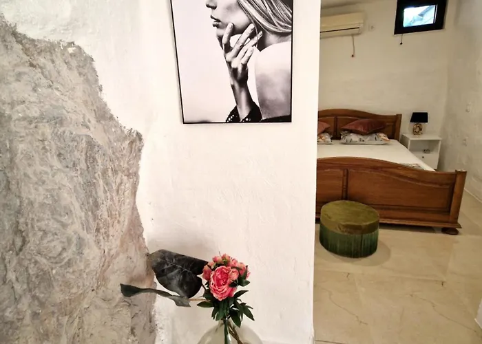 Roko Tragurion فيلة *