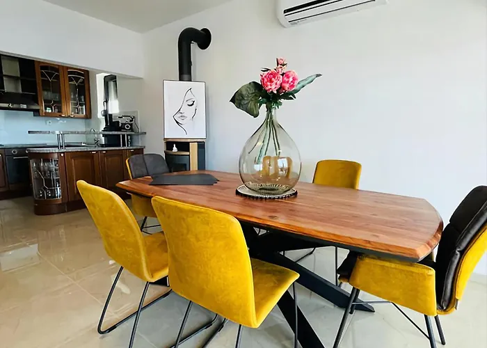 فيلة Roko Tragurion *