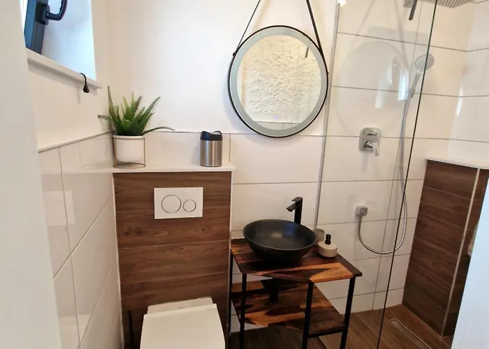 Roko Tragurion تروغير