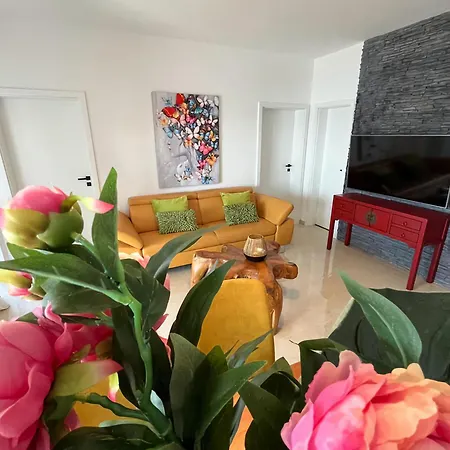 빌라 Roko Tragurion *